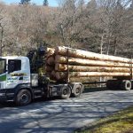 Camion transportant du bois