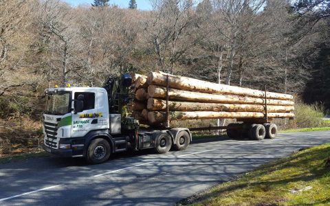 Camion transportant du bois